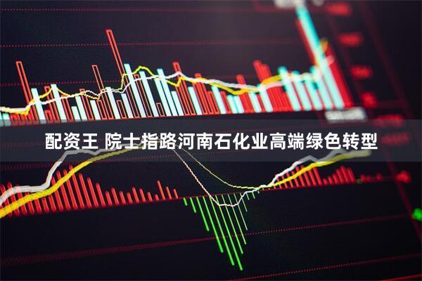 配资王 院士指路河南石化业高端绿色转型