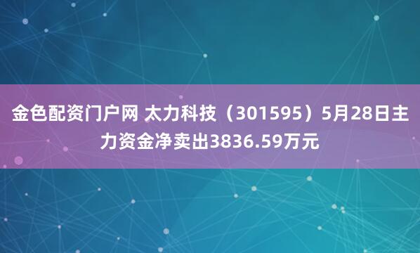 金色配资门户网 太力科技（301595）5月28日主力资金净卖出3836.59万元