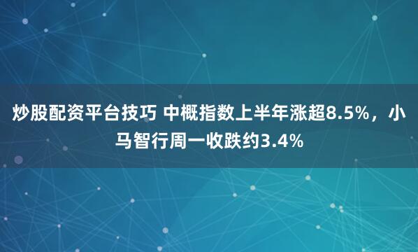 炒股配资平台技巧 中概指数上半年涨超8.5%，小马智行周一收跌约3.4%