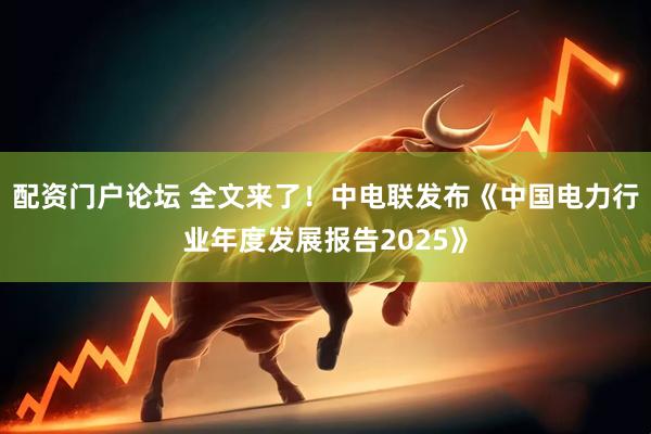 配资门户论坛 全文来了！中电联发布《中国电力行业年度发展报告2025》
