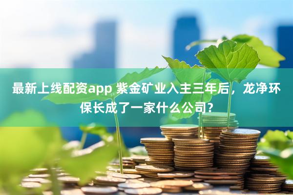最新上线配资app 紫金矿业入主三年后，龙净环保长成了一家什么公司？